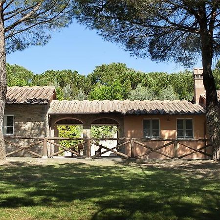 Podere Poggio Mendico Αρέτσο Εξωτερικό φωτογραφία