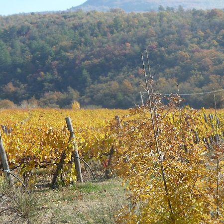 Podere Poggio Mendico Βίλα Αρέτσο Εξωτερικό φωτογραφία