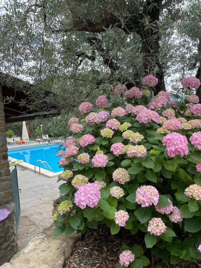 Podere Poggio Mendico Αρέτσο Εξωτερικό φωτογραφία