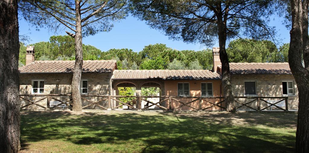 Podere Poggio Mendico Αρέτσο Εξωτερικό φωτογραφία