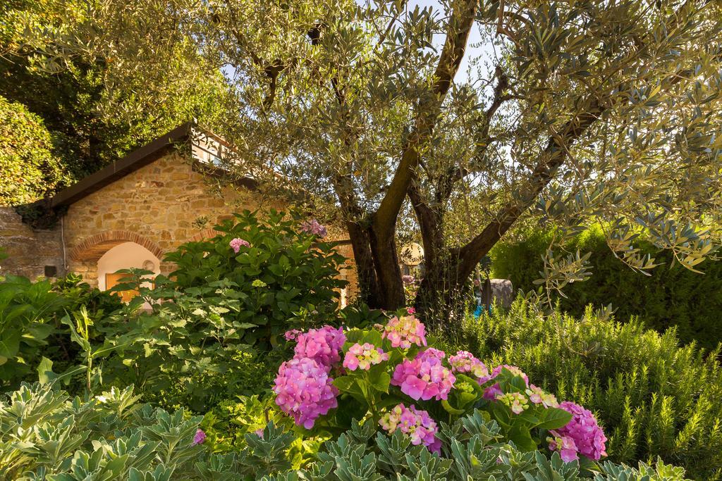 Podere Poggio Mendico Αρέτσο Εξωτερικό φωτογραφία