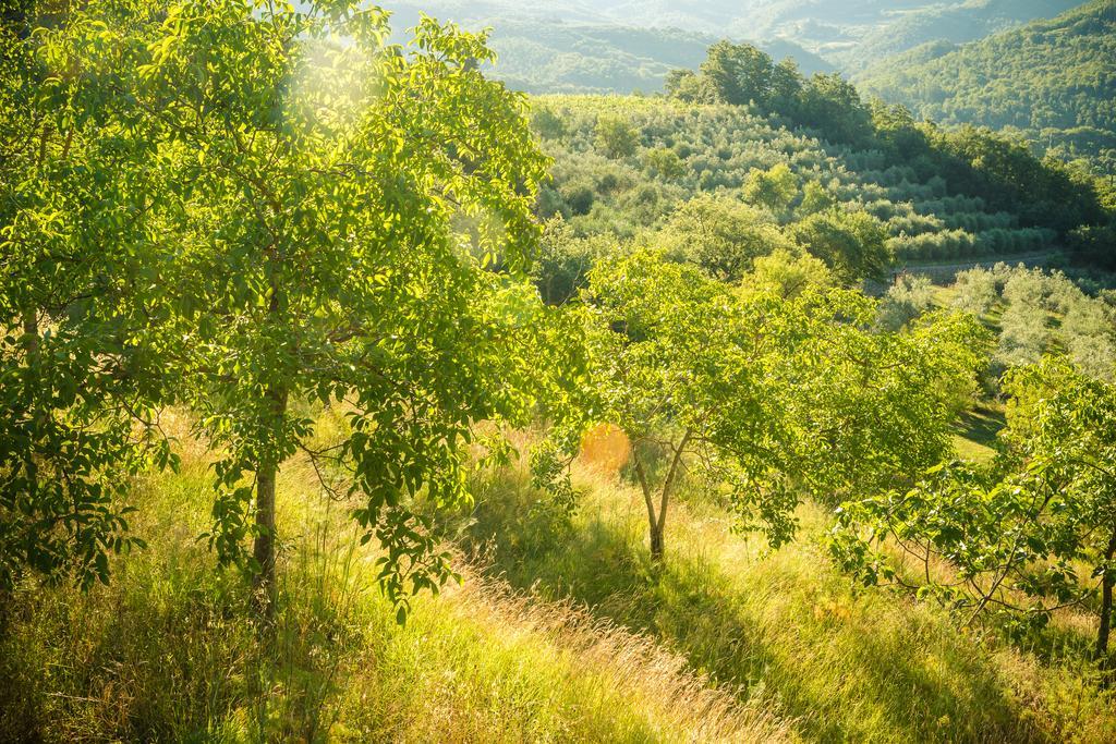 Podere Poggio Mendico Βίλα Αρέτσο Εξωτερικό φωτογραφία