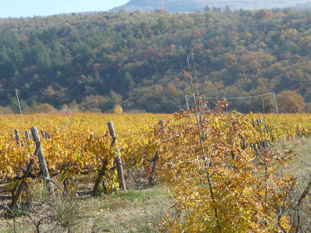 Podere Poggio Mendico Βίλα Αρέτσο Εξωτερικό φωτογραφία