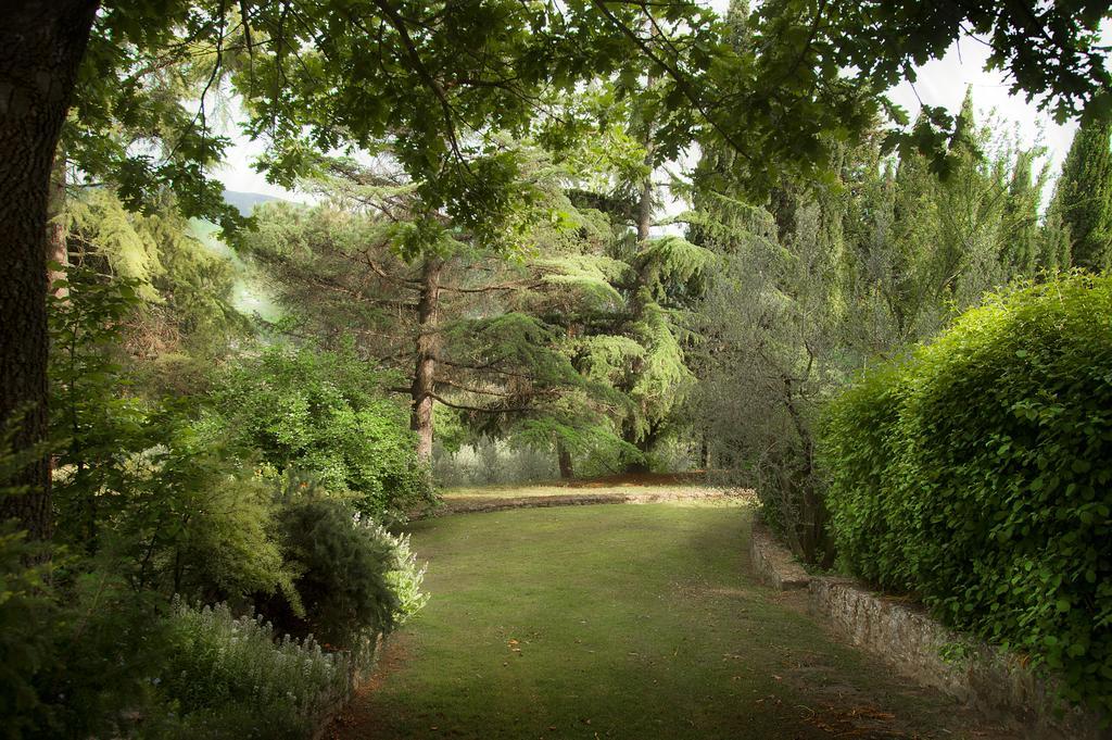 Podere Poggio Mendico Βίλα Αρέτσο Εξωτερικό φωτογραφία